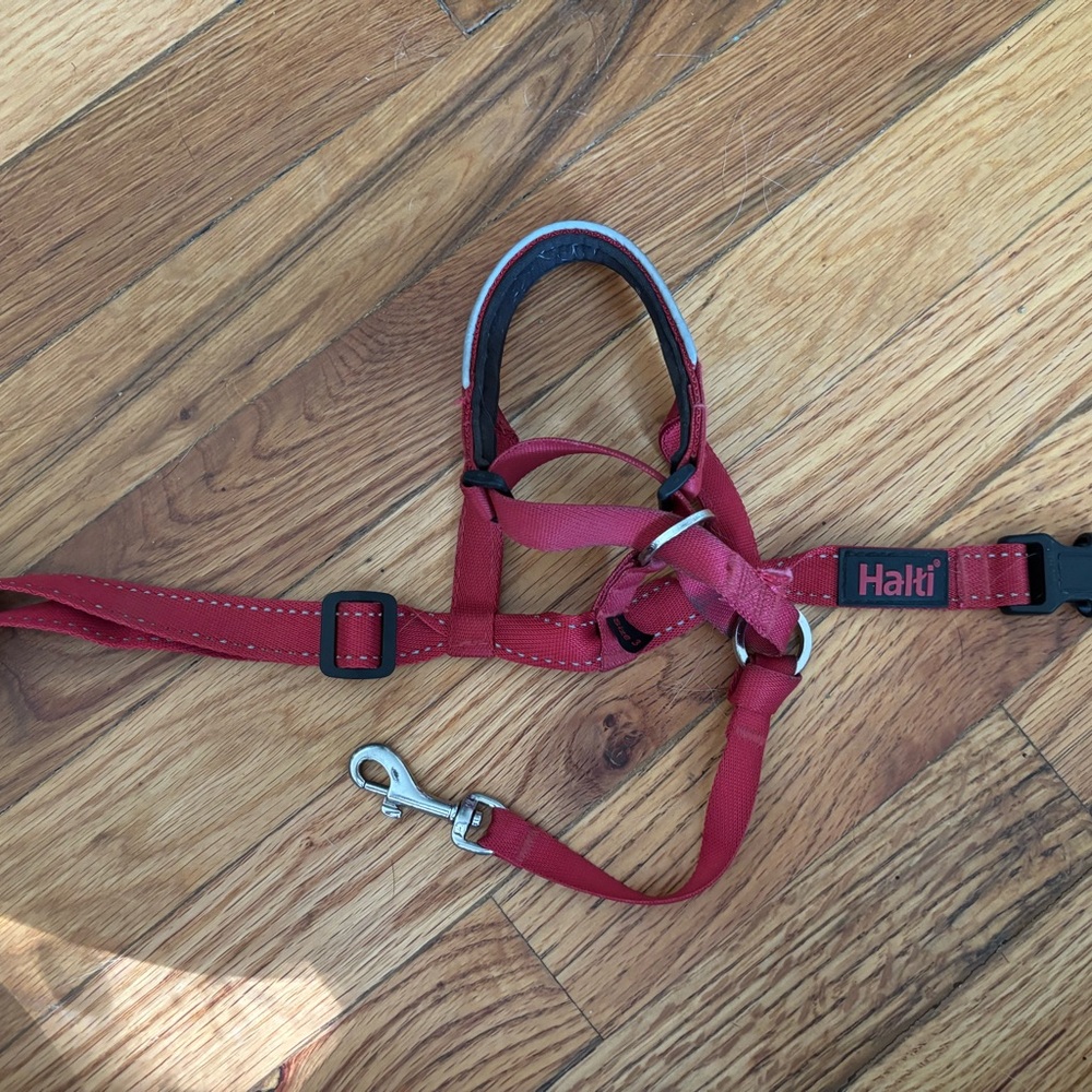Halti Red Dog Harness and Leash